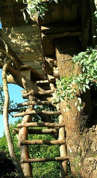 treehouse10
