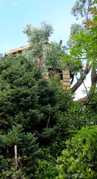 Wooden treehouse project