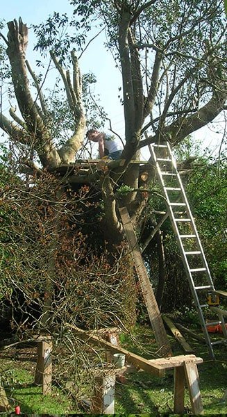 Start and prep of wooden treehouse